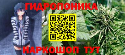 PSILOCYBIN Можайск