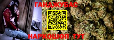 дживик Моздок