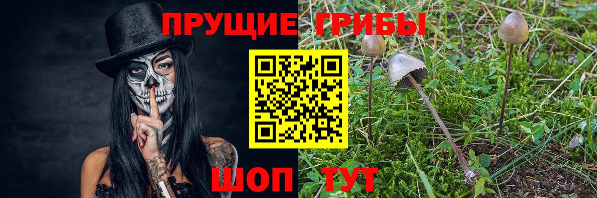 Псилоцибиновые грибы Magic Shrooms Янаул